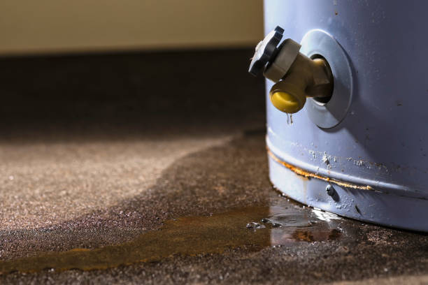 Best Water damage contractors near me  in Sunland Park, NM