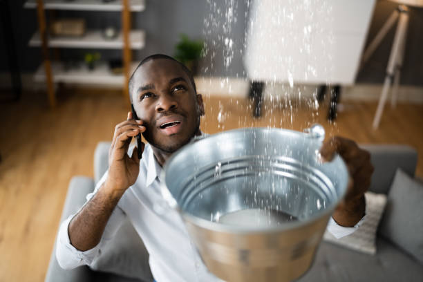Best Water damage restoration insurance claims  in Sunland Park, NM