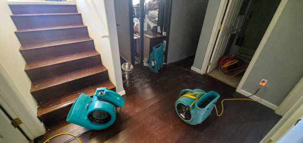 Best Professional water damage repair  in Sunland Park, NM