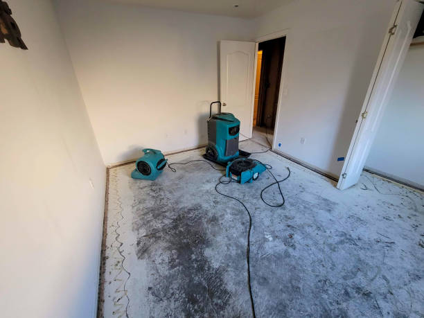 Best Residential water damage restoration  in Sunland Park, NM