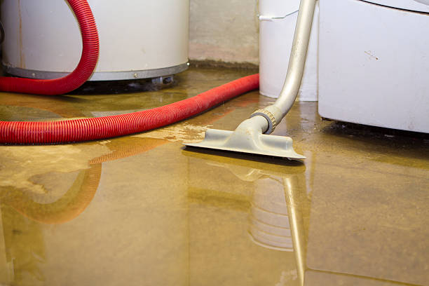 Best Flood damage cleanup  in Sunland Park, NM