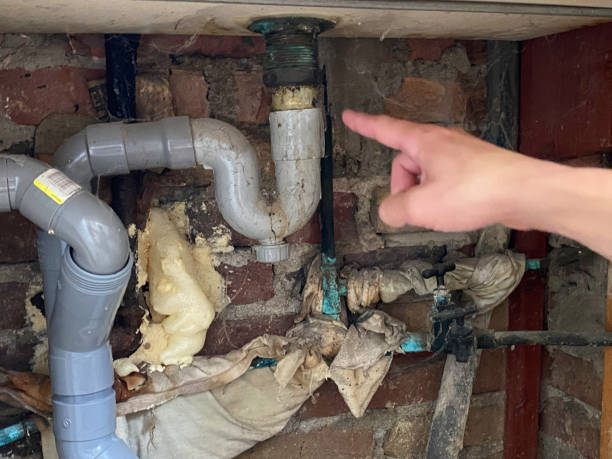 Best Basement water damage restoration  in Sunland Park, NM